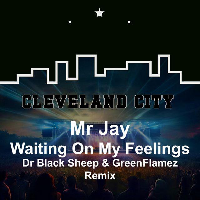 Waiting on My Feelings (Dr Black Sheep & GreenFlamez Remix)