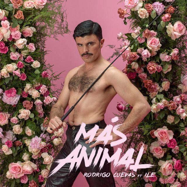 Más animal (feat. iLe)