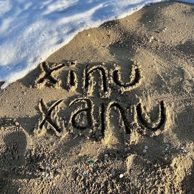 Xinu Xanu