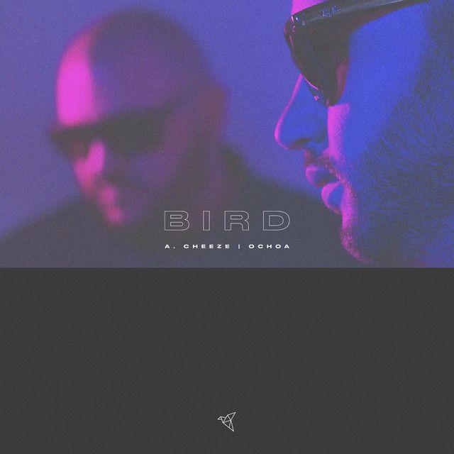 Bird (feat. Sticky Sánchez)