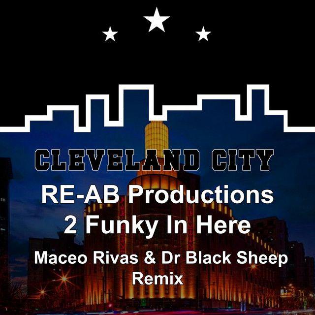 2 Funky in Here (Maceo Rivas & Dr Black Sheep Remix)