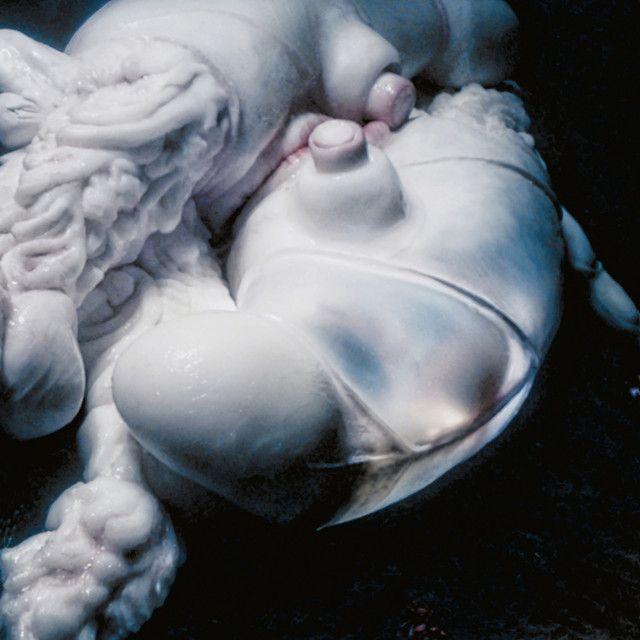 Arisen My Senses (feat. Arca)