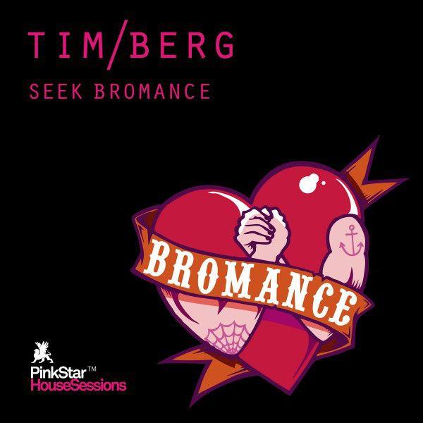 Seek Bromance (Avicii's Vocal Edit)