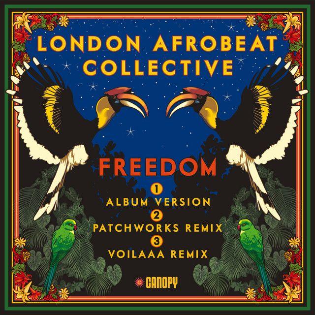 Freedom (Voilaaa Remix)