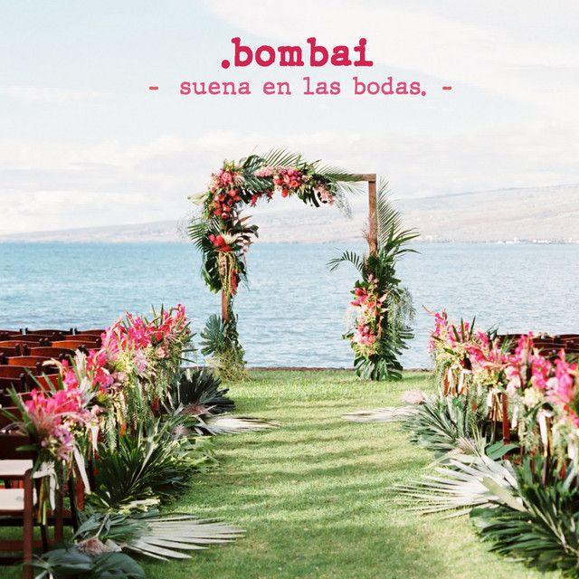 Suena en las Bodas