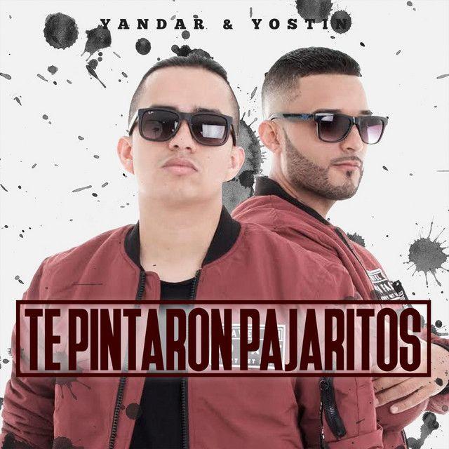 Te Pintaron Pajaritos (Remix)