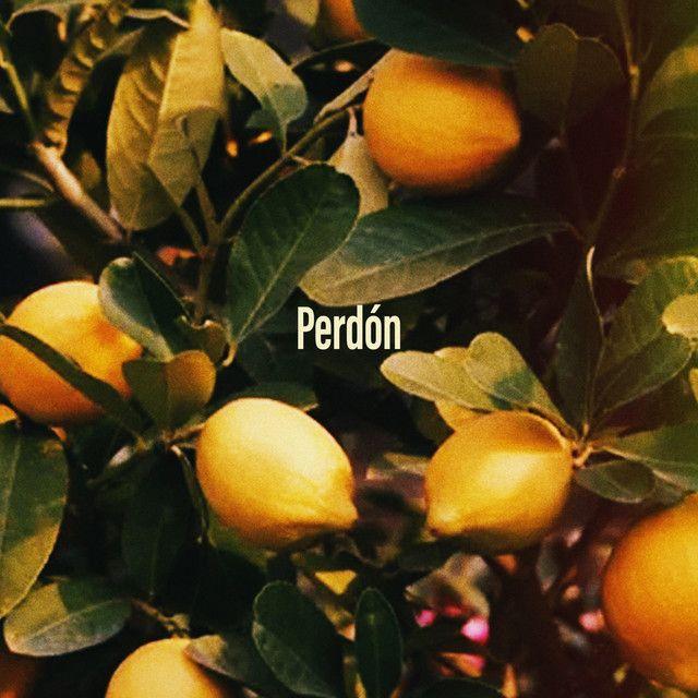 Perdón (feat. Diego Coppinger & Yadira Ferrer & Reinier Elizarde & Kevin Díaz & Yuri Hernández & Uri Martinez & Albert Costa & Marçal Muñoz)