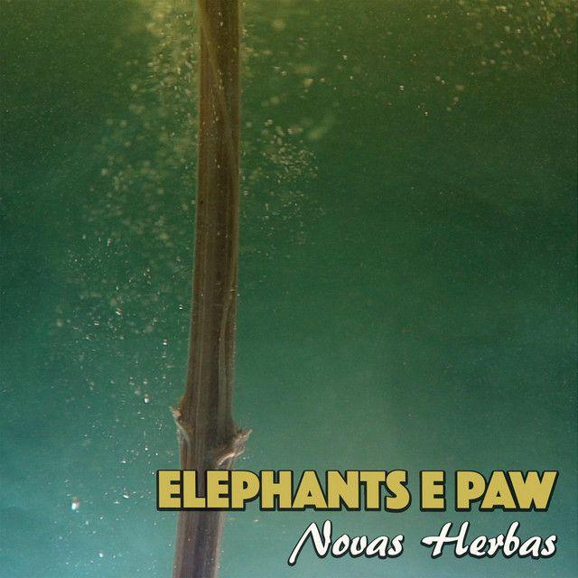 Elephants E Paw