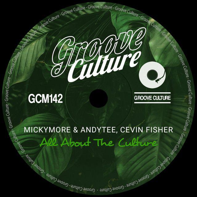 All About the Culture (Radio Edit)