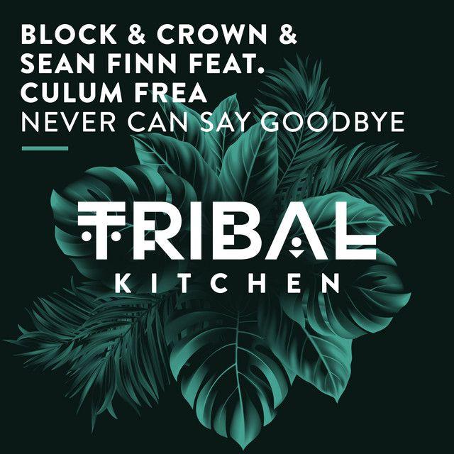 Never Can Say Goodbye (feat. Culum Frea) [Radio Edit]